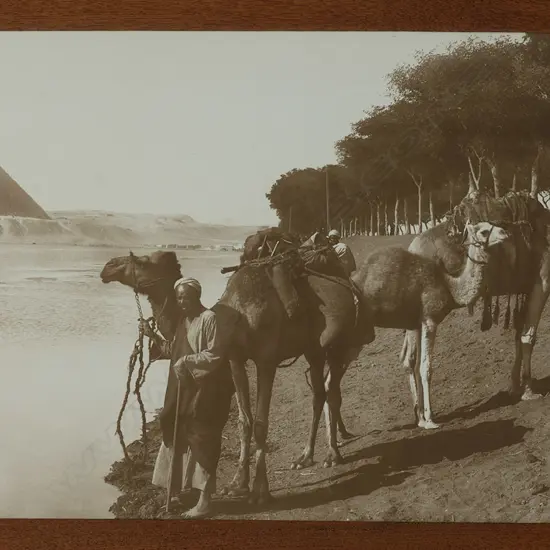 Gabriel Lekegian (1853-1920) 'Camels watering on the Nile',